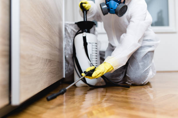 Best Termite Control Services  in New London, IA