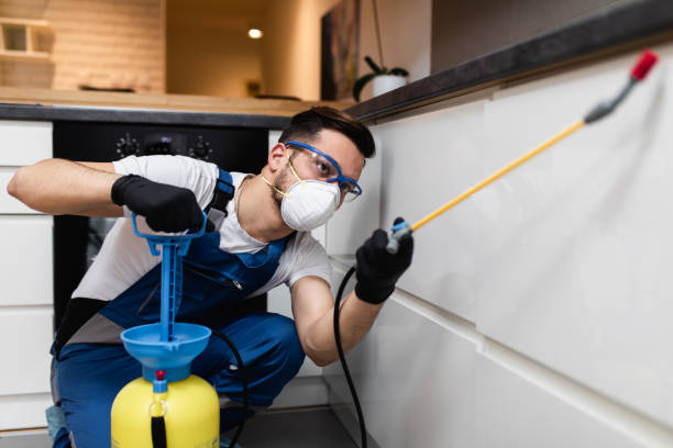 Best Pest Control Treatment  in New London, IA