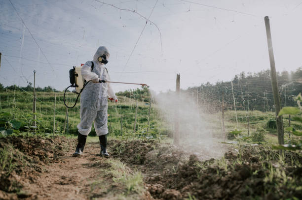 Best Best Pest Control Companies  in New London, IA