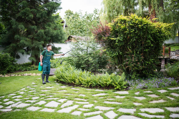 Best Residential Pest Control  in New London, IA