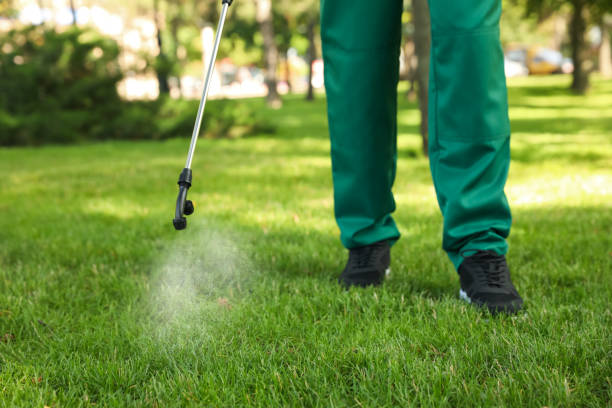 Best Cockroach Control Services  in New London, IA