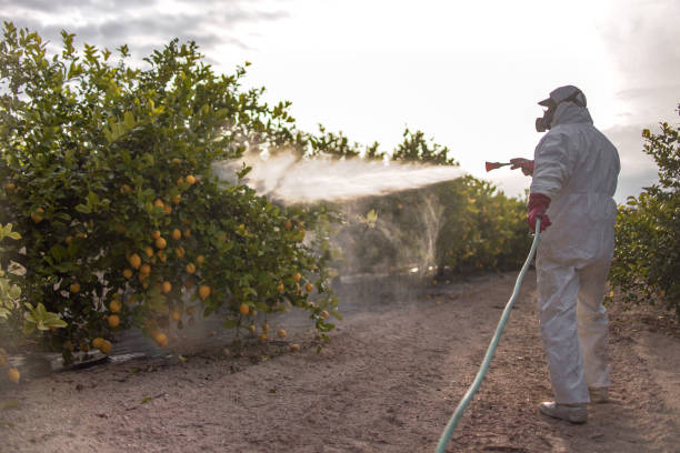Best Pest Prevention Services  in New London, IA