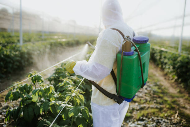 Pest Control Cost in New London, IA